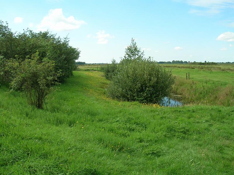 DSCN0682.JPG