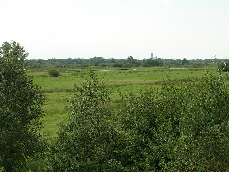 DSCN0686.JPG