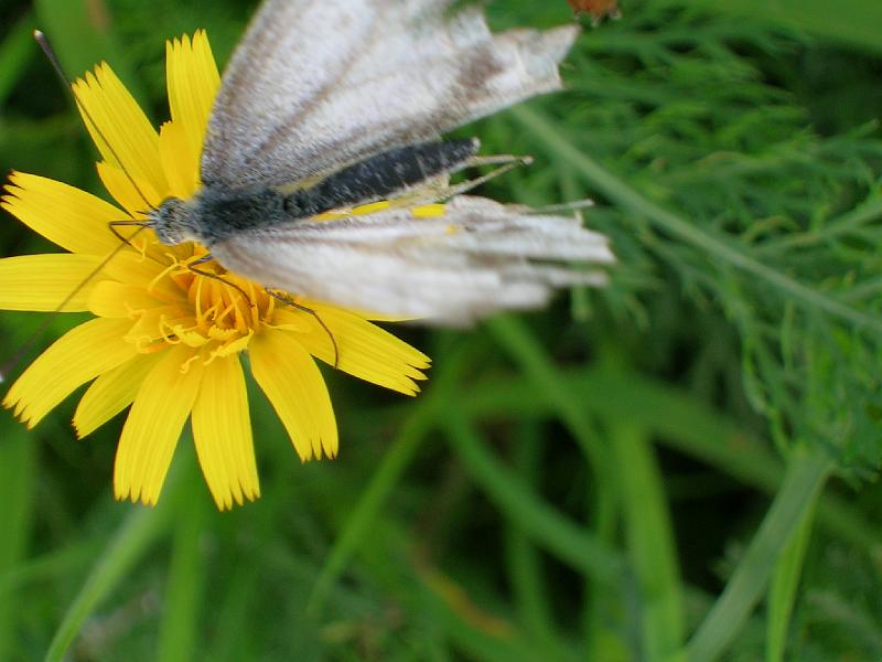 DSCN0701.JPG