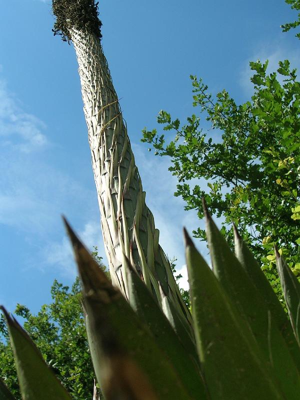 DSCN0719.JPG