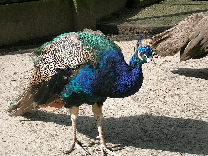 DSCN0741.JPG