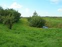 DSCN0682