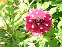 DSCN0716