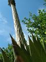 DSCN0719