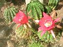 DSCN0722