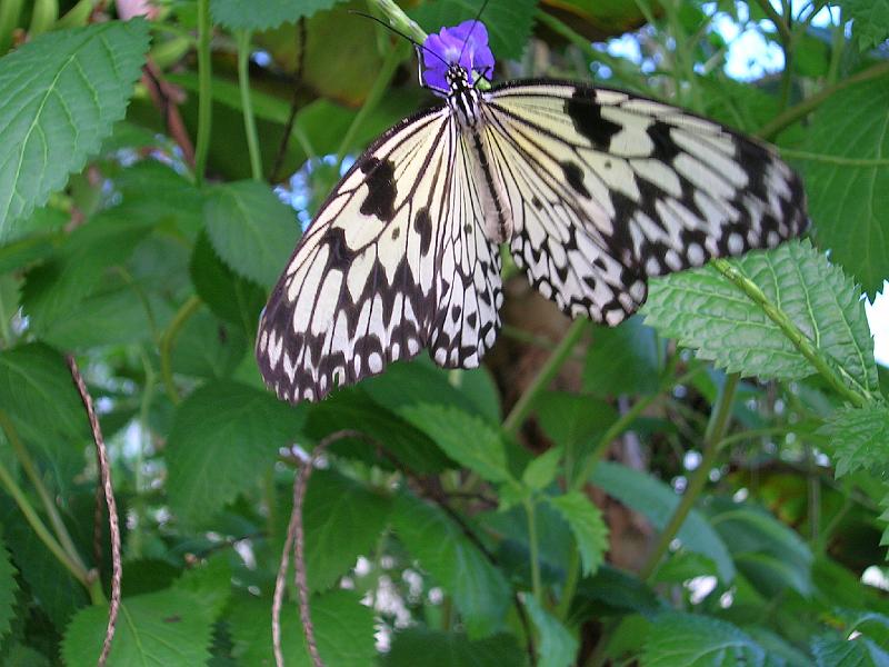 20060921_124845.JPG