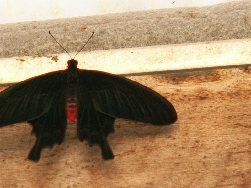 20060921_140505.JPG