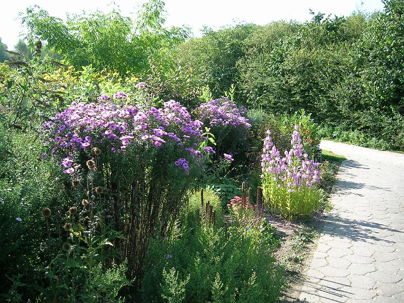 20060921_143813.JPG