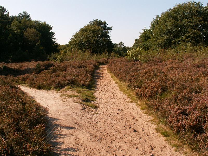 20060921_151742.JPG