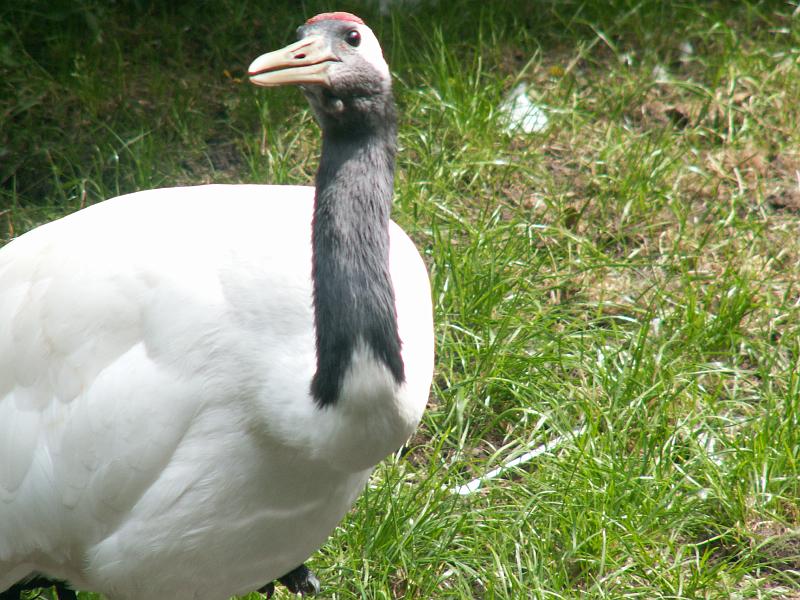 PICT3023.JPG