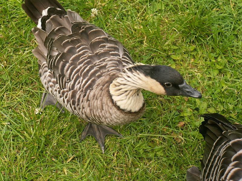 PICT3030.JPG