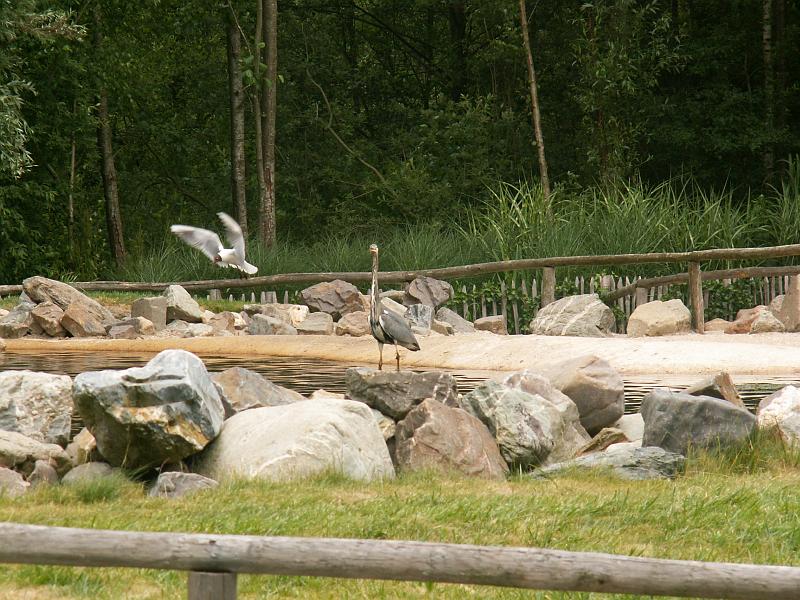 PICT3036.JPG