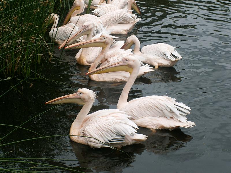 PICT3040.JPG