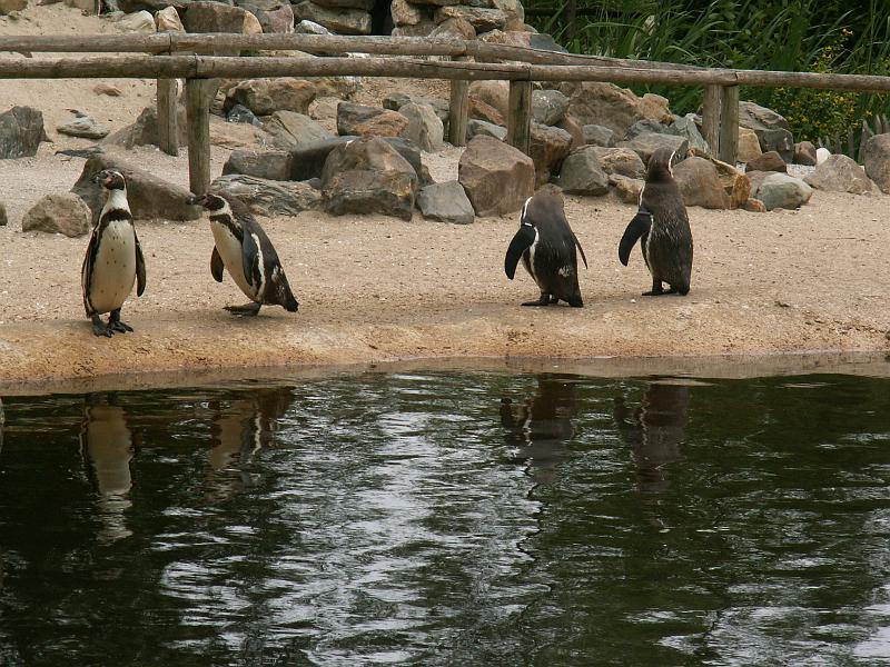 PICT3045.JPG