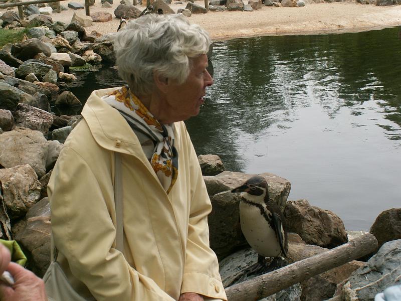 PICT3047.JPG