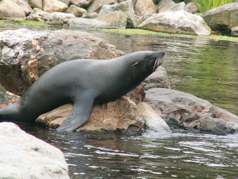 PICT3049.JPG