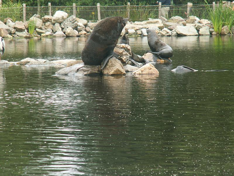 PICT3054.JPG