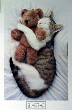 kat002.jpg