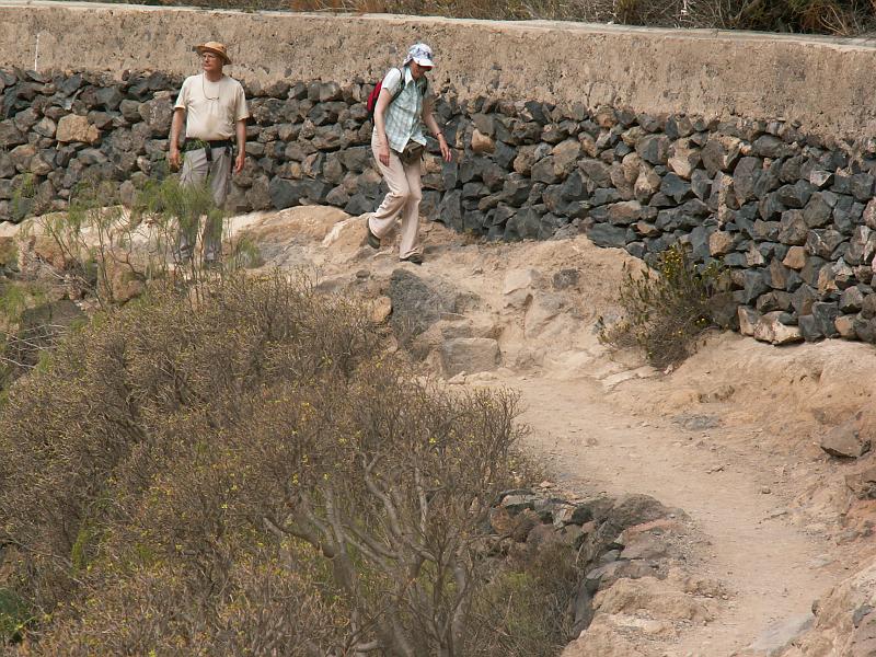 20080529_111504_tenerife_barranco_del_infierno_hb.jpg