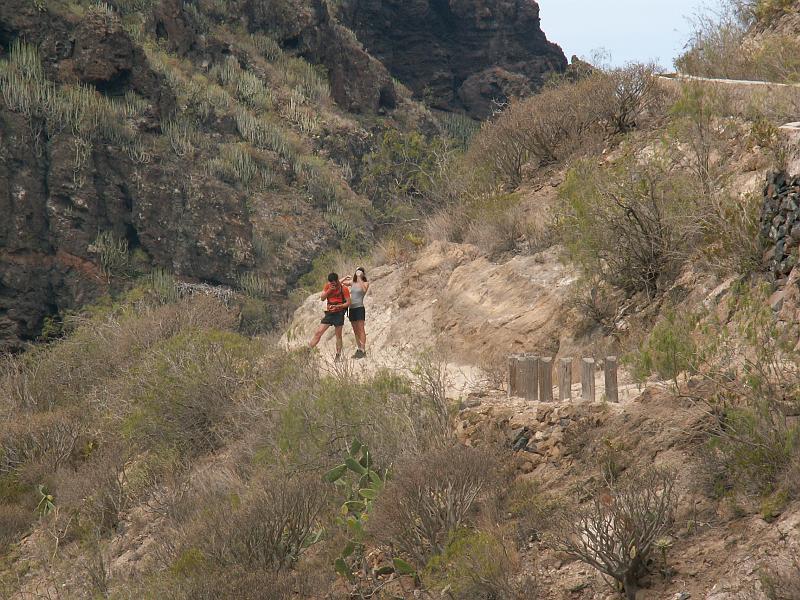 20080529_111523_tenerife_barranco_del_infierno_hb.jpg