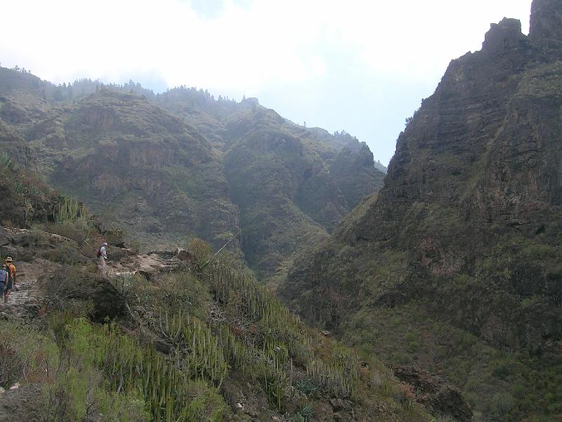 20080529_112520_tenerife_barranco_del_infierno_sb.jpg