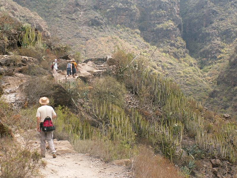 20080529_112602_tenerife_barranco_del_infierno_hb.jpg