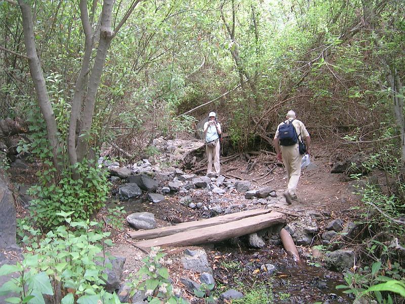 20080529_124251_tenerife_barranco_del_infierno_sb.jpg