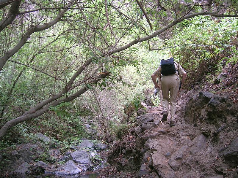 20080529_124407_tenerife_barranco_del_infierno_sb.jpg
