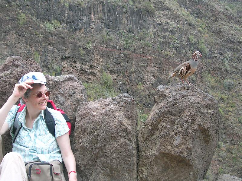 20080529_144725_tenerife_barranco_del_infierno_sb.jpg