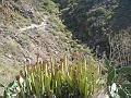 20080529_104758_tenerife_barranco_del_infierno_eb