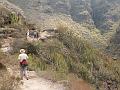 20080529_112602_tenerife_barranco_del_infierno_hb