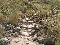 20080529_115439_tenerife_barranco_del_infierno_hb