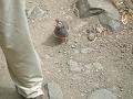 20080529_120217_tenerife_barranco_del_infierno_sb