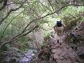 20080529_124407_tenerife_barranco_del_infierno_sb