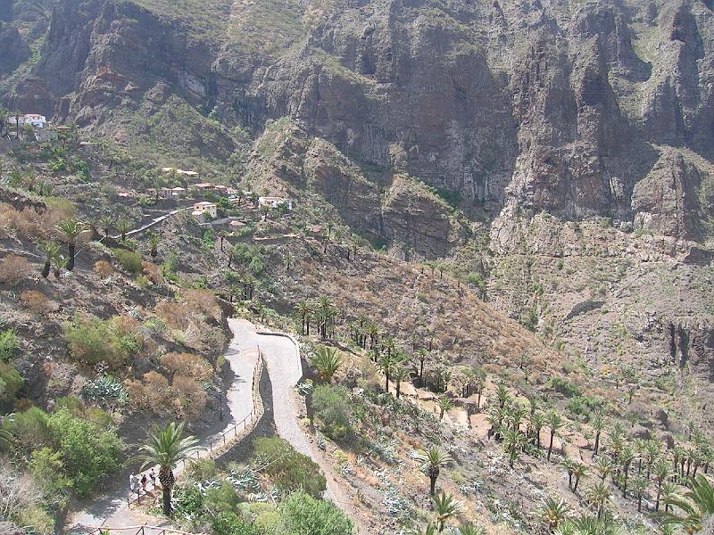 20080601_120123_tenerife_masca_sb.jpg