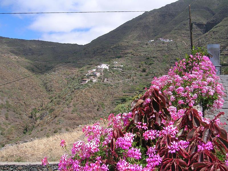 20080601_121217_tenerife_masca_sb.jpg