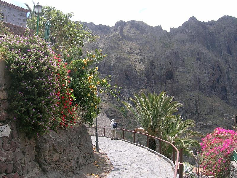 20080601_131906_tenerife_masca_sb.jpg