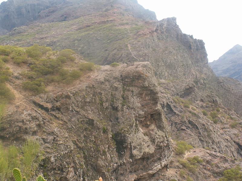 20080601_174508_tenerife_masca_hb.jpg