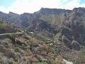 20080601_115843_tenerife_masca_sb