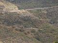 20080601_120141_tenerife_masca_hb