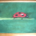 2008 lieveheersbeestje 50x40