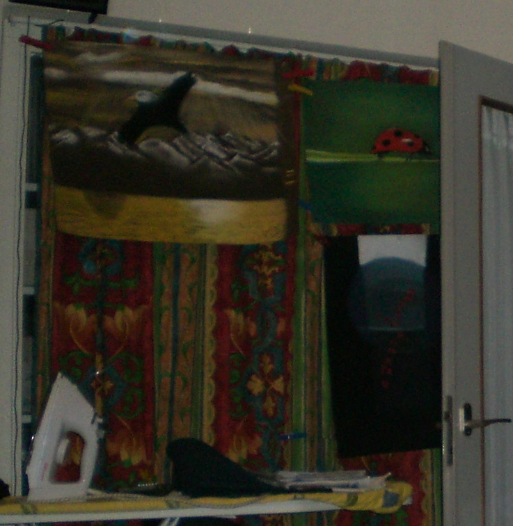 2009_adelaar_60x50_onbekend.jpg