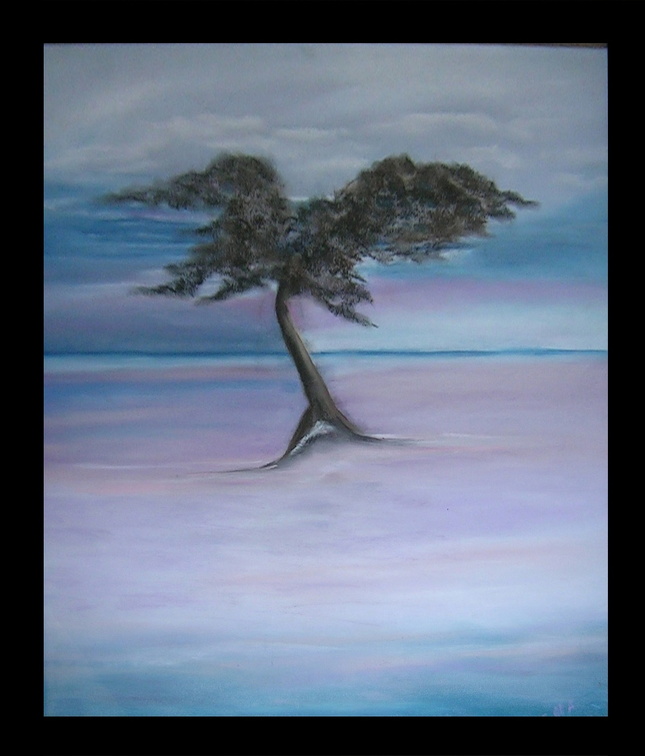2009_boom_paarse_lucht_60x50_a.jpg