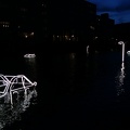 IMG_20200116_172626321.jpg