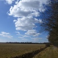 20130401 Appelscha, Canadameer