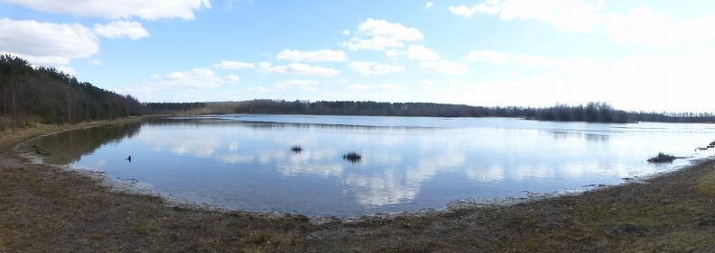 20130401_142221_340.jpg