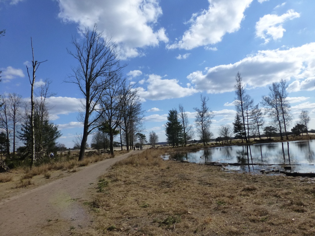 20130401_152451_358.jpg