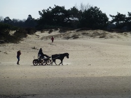 20130401  Appelscha, Kale Duinen