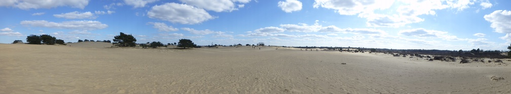 20130401_153913_371.jpg