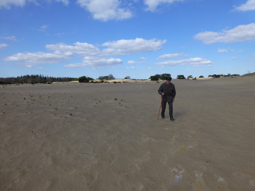 20130401_154336_373.jpg